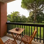 Studio Camargue